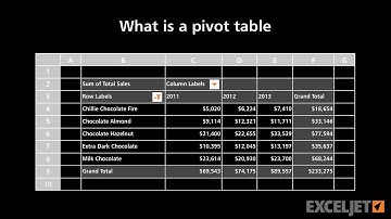What is a pivot table?