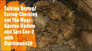 Discussing Curing / Checking out the harvest / Sars Cov-2 Death # with Dutchman420