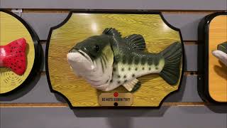 Big Mouth Rainbow Trout But I Altered The Pitch.
