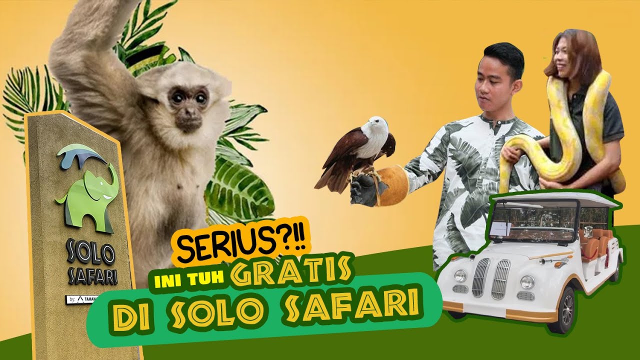 Ada yang GRATIS di Solo Safari !! | Apa Aja itu 😱😮 - YouTube