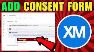 Career Overview How To Add Consent Form On Qualtrics (2026) (Quick And Easy Guide)