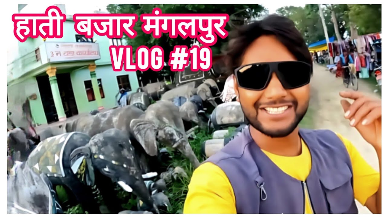 HATTHI BAZAR MANGALPUR VLOG #19 - D1 | @D1Official1 | D1 New Vlog #madhesi_lifestyle
