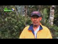 MEDICNA NATURAL LUIS ORTEGA DE GRAN SABANA.
