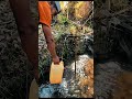 #survival #forest #videoshort