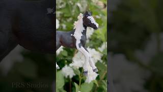 Schleich Black Tobiano Etb Foal Repaint