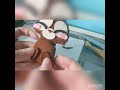 Hago un peluche de mi dibujo de Tanuki
