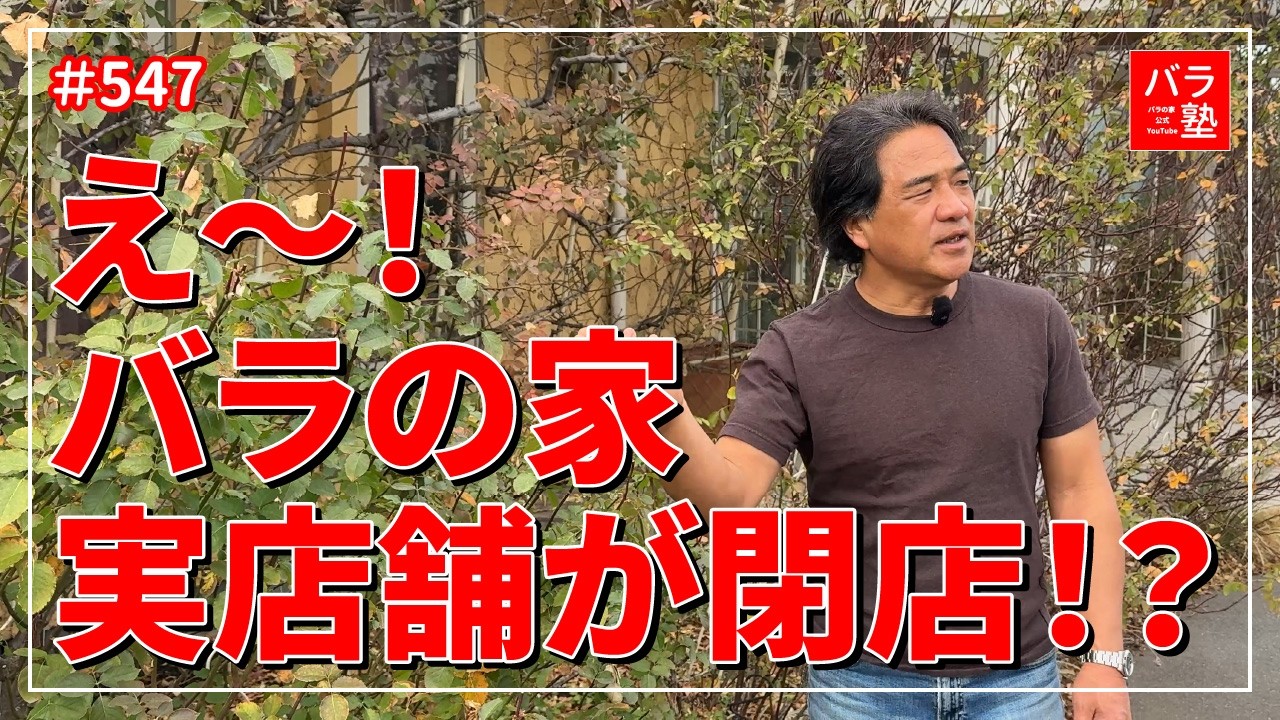 #547 え～！バラの家 実店舗が閉店！？