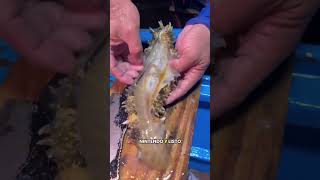 Este pez vive dentro de otro animal!! 🐟🥒🥒 #peces #pepino #vidamarina