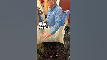 Q&A: Why are the totes full of worms? #wormfarm #wormfarmer #vermicompost #wormfarming #wormcastings