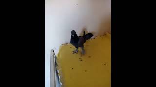 Bunlarda Kasırgalar