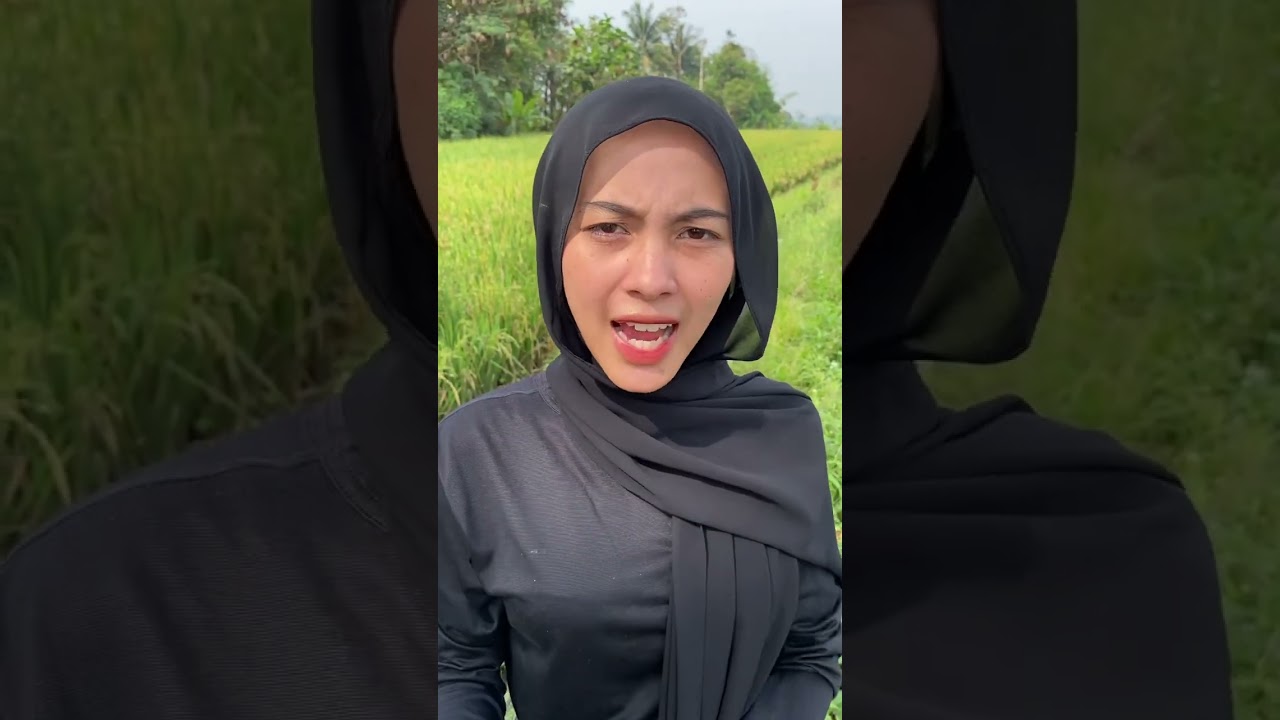 Sarega di tengah sawah