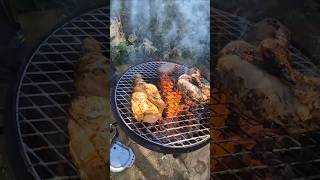 First cook on the Weber Santa Maria grill attachment 🔥🍗
