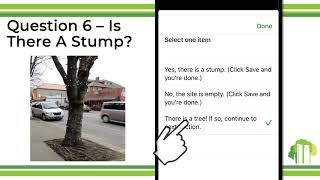 How to Inventory a Boston Street Tree: Adding Information about a Planting Site (Video 3 of 7)