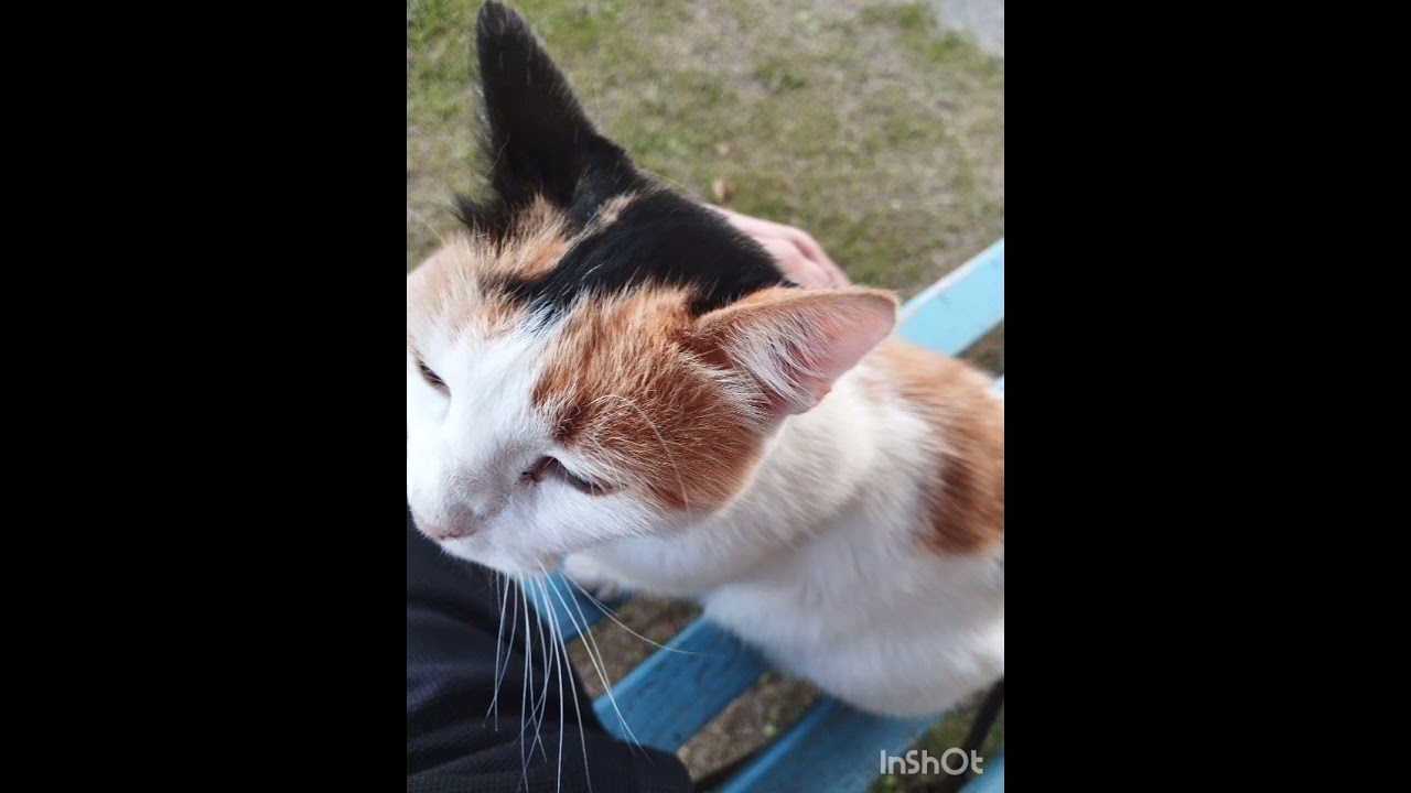 Taking my body elsewhere