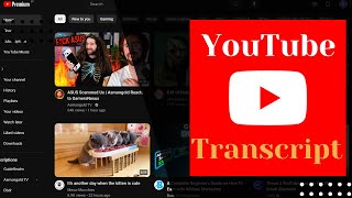 How to Easily Get Transcripts for Any YouTube Video