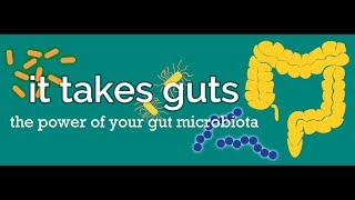 It Takes Guts: The Power of Your Gut Microbiota