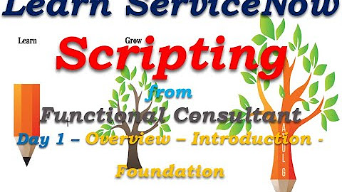 ServiceNow Scripting