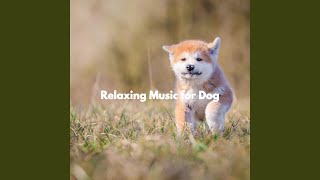 Uplifting Music for Forgetting Mirrors