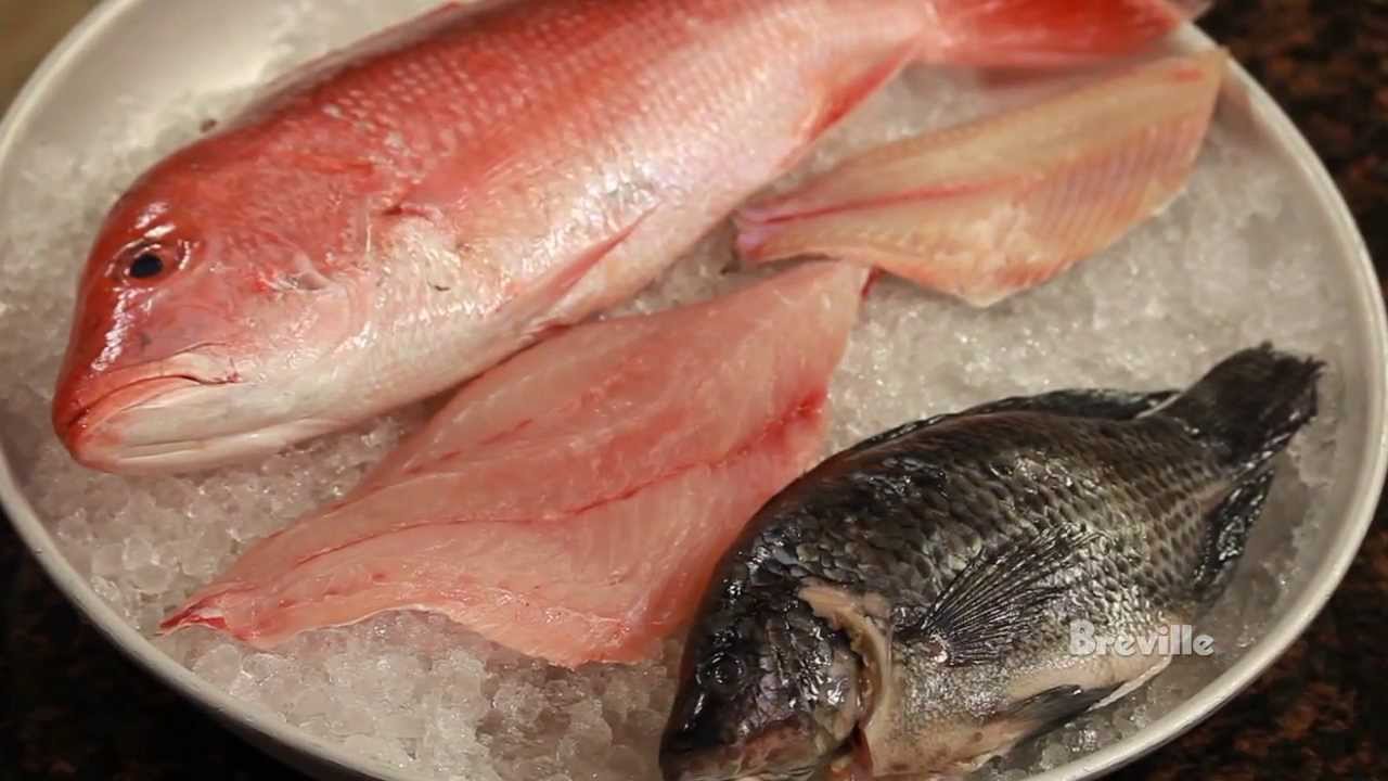 Breville Presents Chef Jeremy Sewall on the Practice of Mislabeling Fish, in Fishing for Real