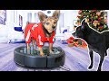 What I got for Christmas and New Year 2020! Reacting to New Spy Robot Mystery Gift!