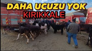 SON BÖLÜM!!! KIRIKKALE HAYVAN PAZARI GÜNCEL FİYATLAR