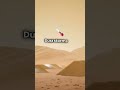 Ingenuity's Final Flight: Lessons from Mars