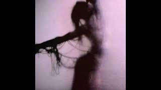 SCATTERBRAIN - FAST LANE (SLOWED&REVERB)