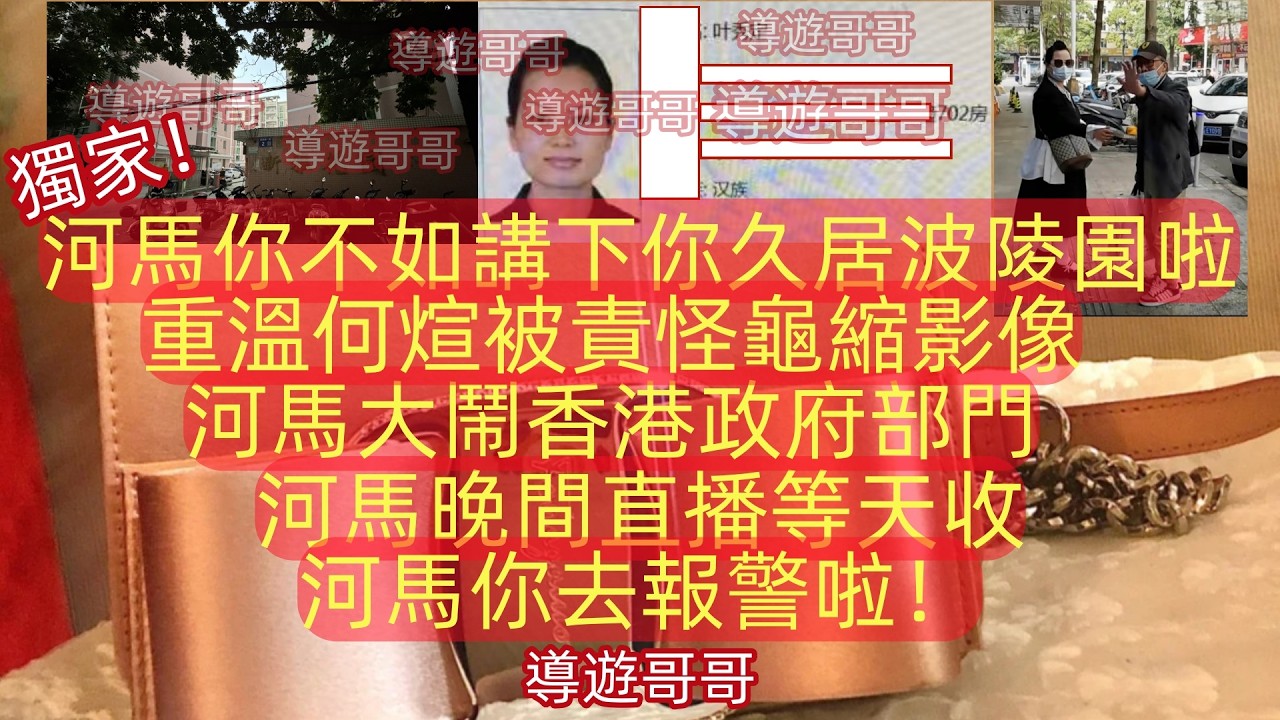 2026.3.1 河馬你不如講下你久居波陵園啦,重溫何煊被責怪龜縮影像,河馬大鬧香港政府部門,河馬晚間直播等天收#香港01 #星島娛樂 #am娛樂