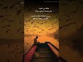 ضاقت بي الدنياء بما رحبت حالات واتساب 2021تصميم قناه ابونواف الزبيدي
