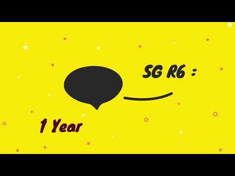 1 year anniversary SG R6
