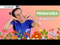 Parole, frasi ed espressioni per parlare della primavera in inglese