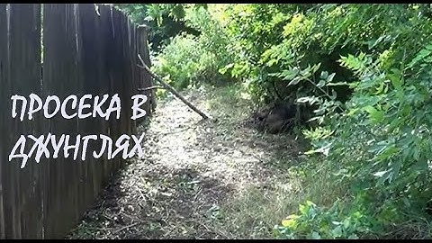 Поздравляем всех с Троицей! РАБОТА на усадьбе В УДОВОЛЬСТВИЕ! Нам привезли МЕТАЛЛОПРОФИЛЬ_04.06.2023