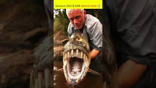 Amazon जंगल के सबसे खतरनाक जानवर 😱।। Wildest Animals in Amazon Forest #shorts #youtubeshorts