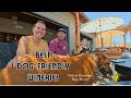 Best Dog Friendly Wineries in Valle de Guadalupe, Ensenada Baja, Mexico