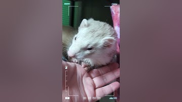 e4cSAb8AyFtvThs5KPfmME