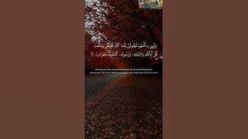 يحذر المنافقون أن تنزل عليهم سورة تنبئهم بما في قلوبهم قل استهزئوا إن  سورة التوبة عاصم اللحيدان