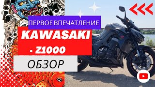 картинка: KAWASAKI Z1000 | Обзор-реакция