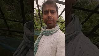 Download Mp3 Tomay chere Ami thakte parina ❤️|| Songs ||Trending| #song #Tollywoodsongs Gudang lagu Download Mp3 Tomay chere Ami thakte parina ❤️|| Songs ||Trending| #song #Tollywoodsongs