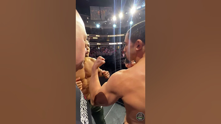 Robert Whittaker vs  Paulo Costa: UFC 298 Face-off