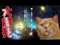 【猫ミーム】父親ガチャ2連大爆死した件w　【Season2 総集編】