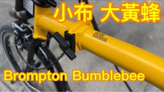 Brompton Bumblebee 小布亞洲限定大黃蜂 P line