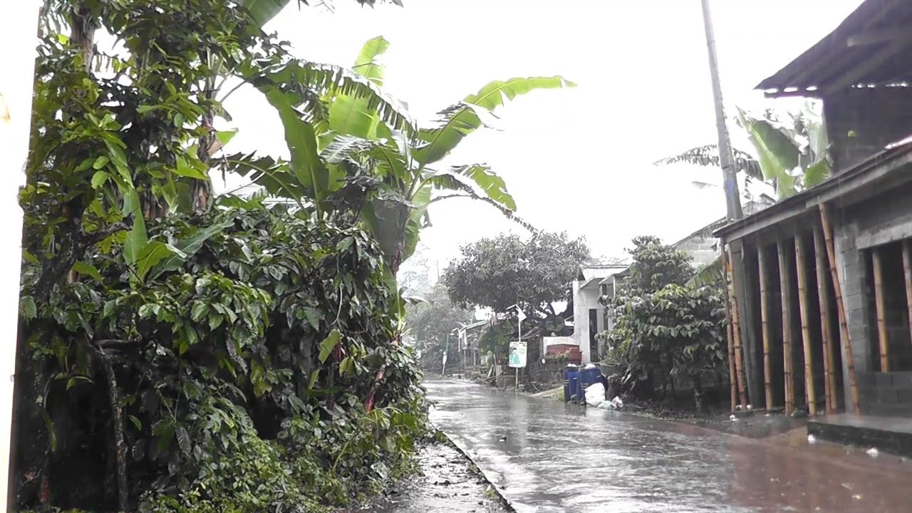 rain  الامطار الغزيرة مع صوت المطر  وصوت الرعد في القرية