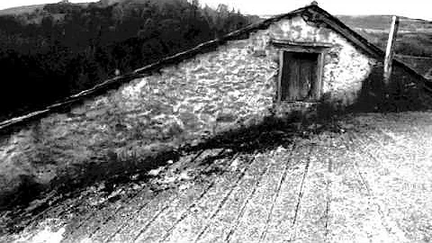 John Sheppard-Verbum caro-Stile Antico