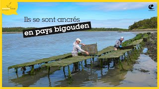 Ils se sont ancrés en pays bigouden :  l'île aux palourdes screenshot 3