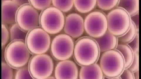 Gốc tự do nguyên nhân phát sinh và tác hại