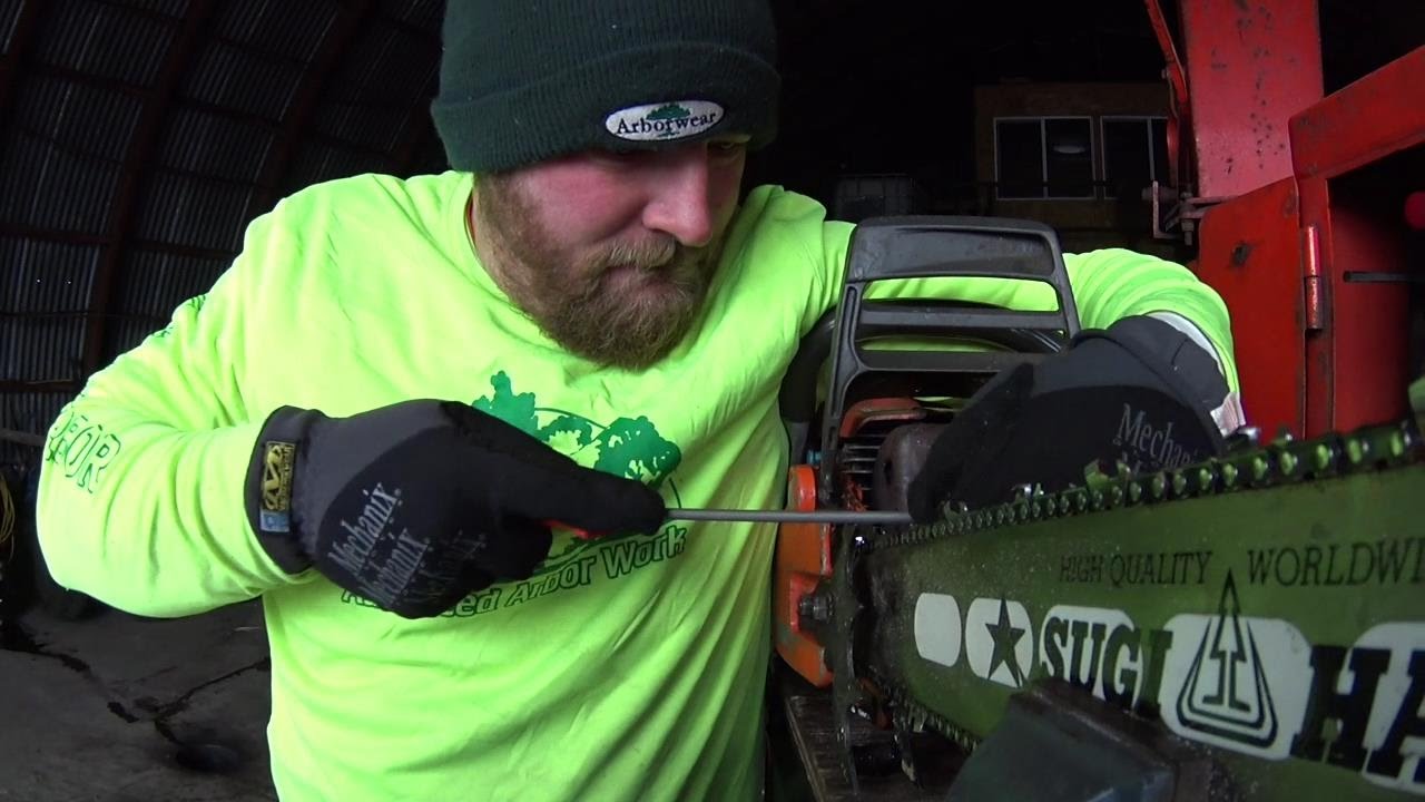 Professional Arborist at Work YouTube