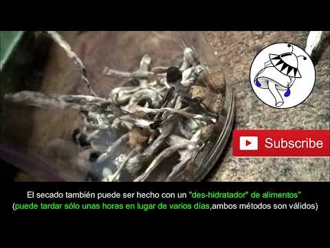Video: 3 formas de salvarse de un ataque de avestruz