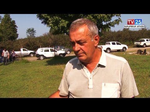 სამეგრელოში აზიური ფაროსანას საწინააღმდეგო ღონისძიებები გრძელდება