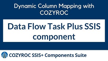 Data Flow Task Plus SSIS component. Dynamic Column Mapping by COZYROC