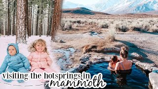 We went to the Mammoth Hot Springs | VLOG